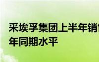 采埃孚集团上半年销售额达220亿欧元接近去年同期水平