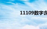 11109数字含义（11109）