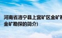 河南省洛宁县上宫矿区金矿勘探(关于河南省洛宁县上宫矿区金矿勘探的简介)