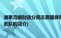 潘家湾镇财政分局志愿服务队(关于潘家湾镇财政分局志愿服务队的简介)