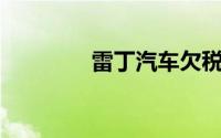 雷丁汽车欠税572万被公告