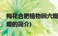 梅花合肥植物园六瓣(关于梅花合肥植物园六瓣的简介)