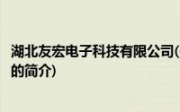 湖北友宏电子科技有限公司(关于湖北友宏电子科技有限公司的简介)