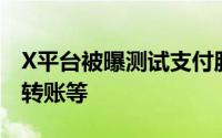 X平台被曝测试支付服务：涉及交易、余额和转账等