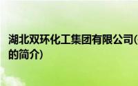 湖北双环化工集团有限公司(关于湖北双环化工集团有限公司的简介)