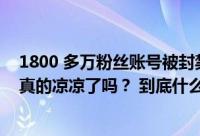 1800 多万粉丝账号被封禁！微商起家的老倪膏药老板这次真的凉凉了吗？ 到底什么情况嘞