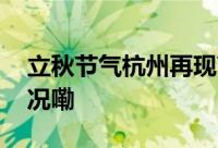 立秋节气杭州再现高温红色预警 到底什么情况嘞