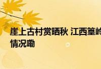 崖上古村赏晒秋 江西篁岭第十届晒秋文化节开幕 到底什么情况嘞