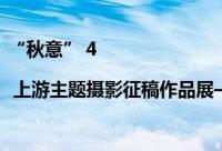 “秋意” 4 | 上游主题摄影征稿作品展——王毛键作品 到底什么情况嘞