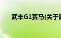 武丰G1赛马(关于武丰G1赛马的简介)