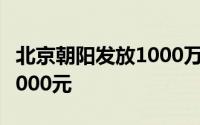 北京朝阳发放1000万新能源汽车消费券最高5000元