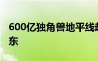 600亿独角兽地平线赴港上市红杉、高瓴是股东