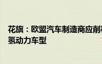 花旗：欧盟汽车制造商应削减电动汽车投资转向混合动力和氢动力车型