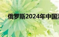 俄罗斯2024年中国汽车占比有望达60%