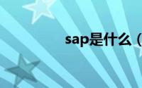 sap是什么（什么是sap）