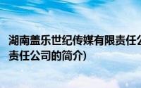 湖南盖乐世纪传媒有限责任公司(关于湖南盖乐世纪传媒有限责任公司的简介)