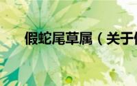 假蛇尾草属（关于假蛇尾草属的简介）