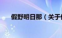 假野明日那（关于假野明日那的简介）