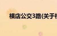 横店公交3路(关于横店公交3路的简介)