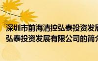 深圳市前海清控弘泰投资发展有限公司(关于深圳市前海清控弘泰投资发展有限公司的简介)