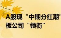 A股现“中期分红潮”：家数已超去年、科创板公司“领衔”