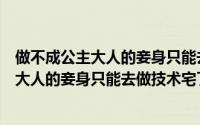 做不成公主大人的妾身只能去做技术宅了（关于做不成公主大人的妾身只能去做技术宅了的简介）