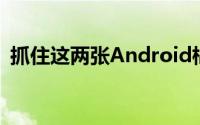 抓住这两张Android棉花糖壁纸庆祝其发布