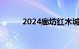 2024廊坊红木城仲夏夜市灯光秀