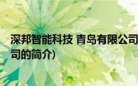 深邦智能科技 青岛有限公司(关于深邦智能科技 青岛有限公司的简介)