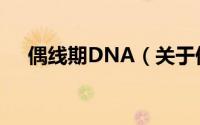 偶线期DNA（关于偶线期DNA的简介）