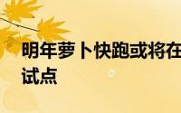 明年萝卜快跑或将在3到5个城市进行大规模试点