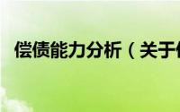 偿债能力分析（关于偿债能力分析的简介）