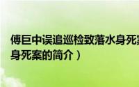 傅巨中误追巡检致落水身死案（关于傅巨中误追巡检致落水身死案的简介）