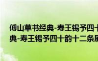 傅山草书经典-寿王锡予四十韵十二条屏（关于傅山草书经典-寿王锡予四十韵十二条屏的简介）