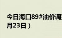 今日海口89#油价调整最新消息（2024年08月23日）