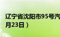 辽宁省沈阳市95号汽油价格查询（2024年08月23日）