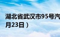 湖北省武汉市95号汽油价格查询（2024年08月23日）