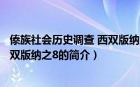 傣族社会历史调查 西双版纳之8（关于傣族社会历史调查 西双版纳之8的简介）