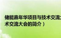 储能嘉年华项目与技术交流大会（关于储能嘉年华项目与技术交流大会的简介）