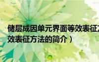 储层成因单元界面等效表征方法（关于储层成因单元界面等效表征方法的简介）