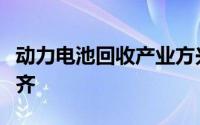 动力电池回收产业方兴未艾行业短板仍有待补齐