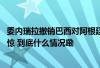 委内瑞拉撤销巴西对阿根廷驻委使馆代表权 巴西政府表示震惊 到底什么情况嘞