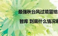 最强秋台风过境留给城市一道“必答题” | 智库 到底什么情况嘞