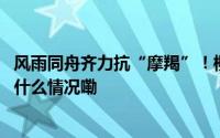 风雨同舟齐力抗“摩羯”！柳州供电局驰援灾区保供电 到底什么情况嘞