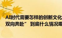 AI时代需要怎样的创新文化？9位专家探讨“文化与科技的双向奔赴” 到底什么情况嘞