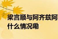 梁言顺与阿齐兹阿赫努什举行工作会谈 到底什么情况嘞