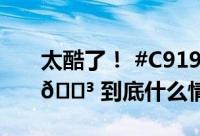 太酷了！ #C919披上了五星红旗# 