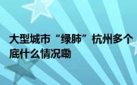 大型城市“绿肺”杭州多个“重量级”公园规划方案出炉 到底什么情况嘞