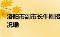 洛阳市副市长牛刚接受审查调查 到底什么情况嘞