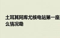 土耳其阿库尤核电站第一座反应堆将于2025年启动 到底什么情况嘞